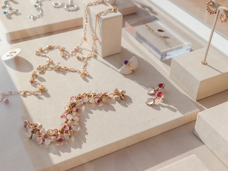 Sand Dollar Tamara Comolli 2023