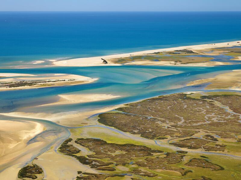 Upcoming events: Ria Formosa.