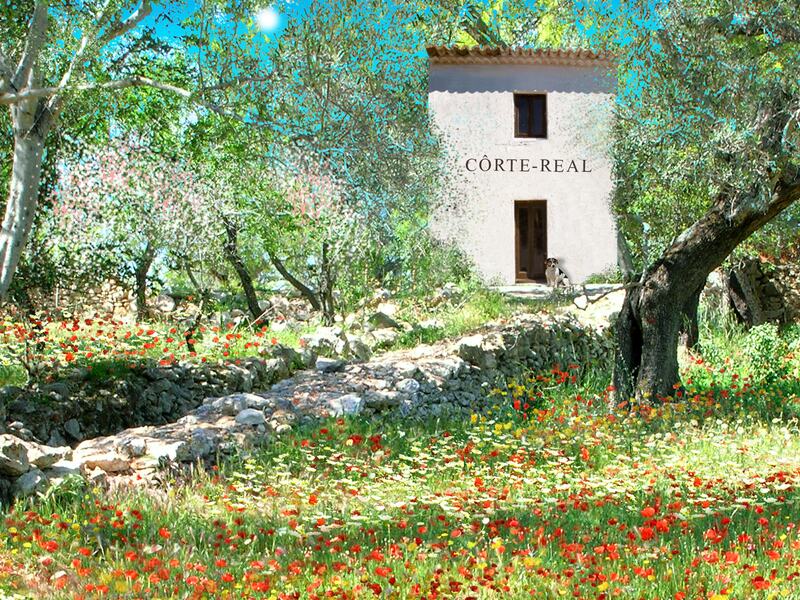 Gallery Corte Real, Paderne