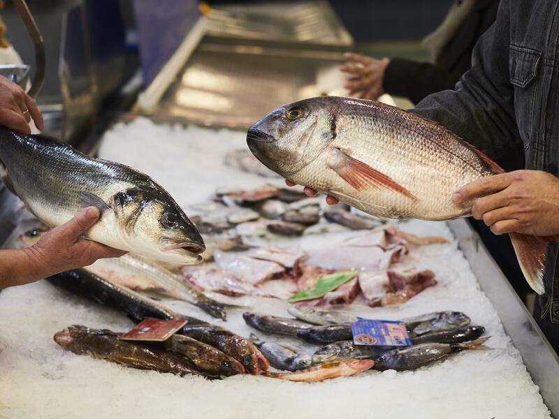Beyond the resort: Portimão's Market.
