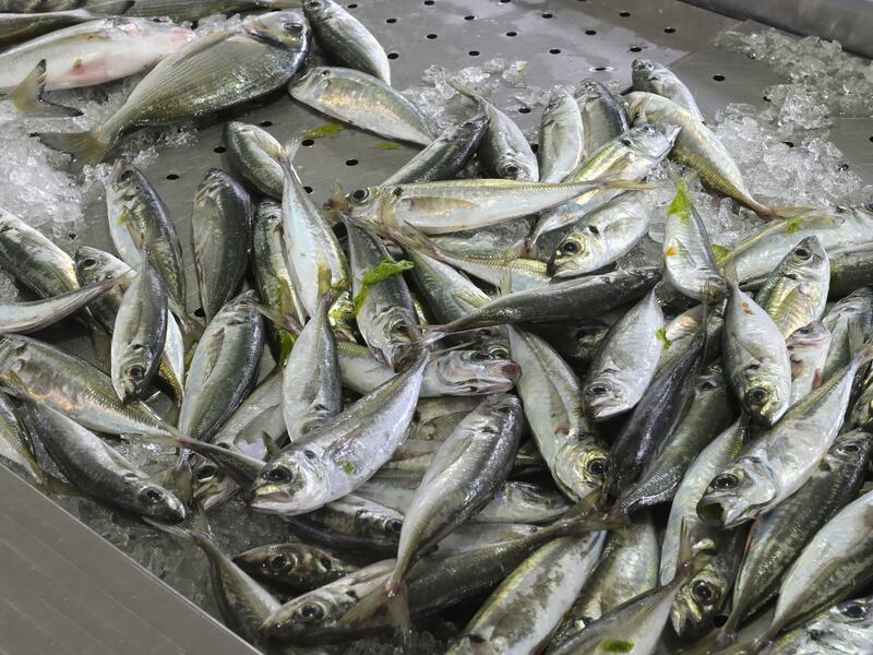 Beyond the resort: Loulé Market.