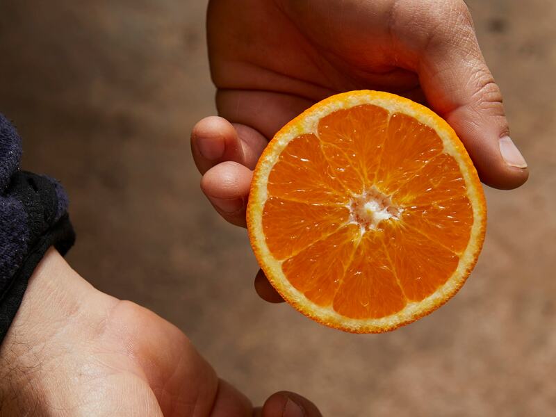 V-life: Orange local producer (Laranja de Silves).