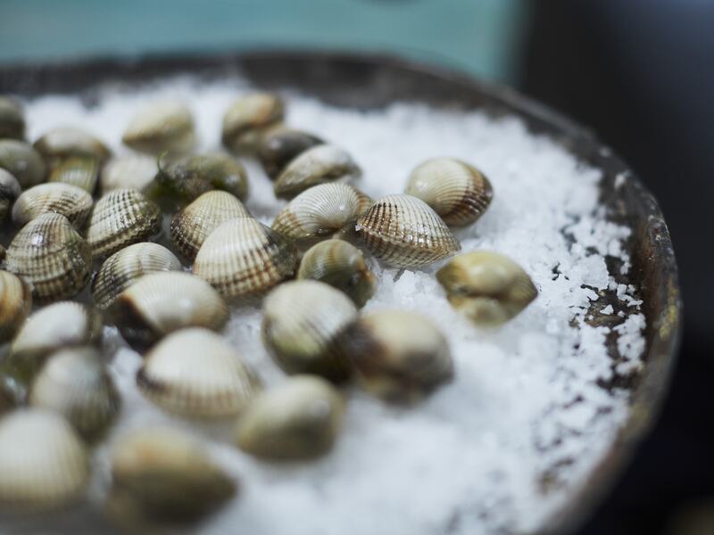 V-life: Salmarim - Flor de Sal producers.