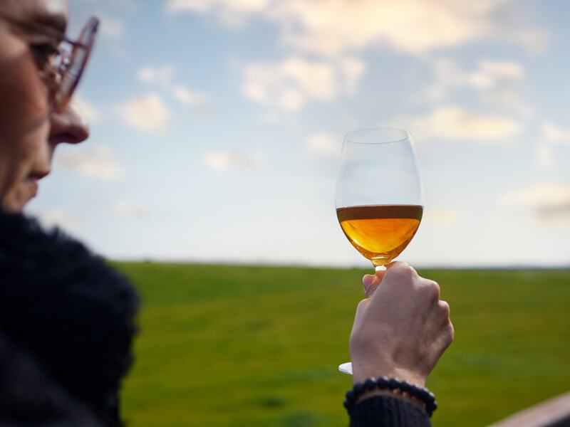 V-life: Herdade dos Grous - Wine tasting