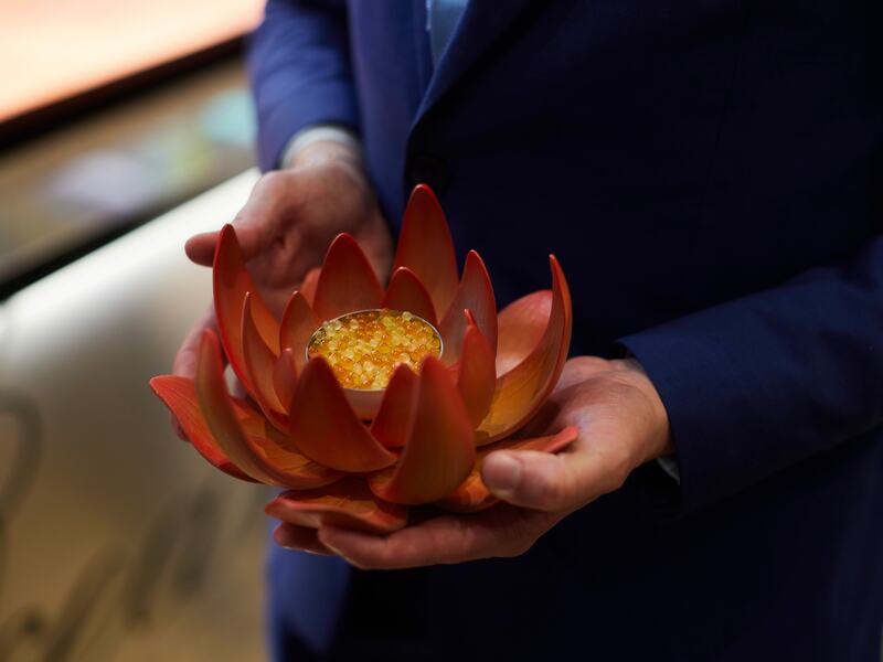 Restaurantes & Bars: Ocean dish