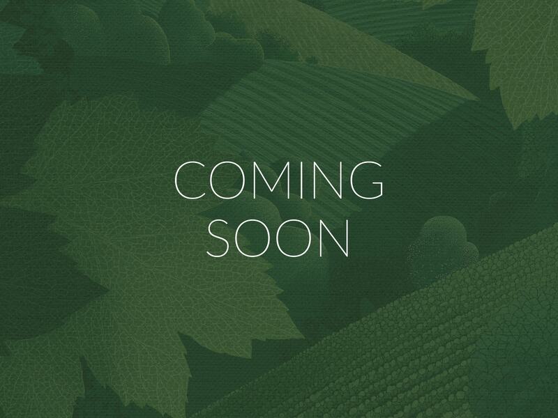 Vine&Dine - Coming soon