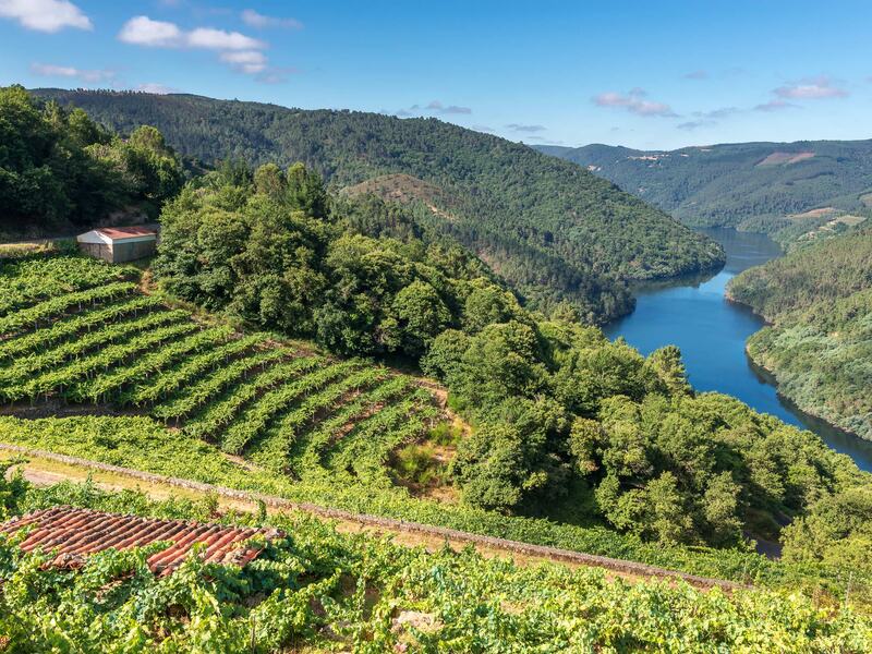 Upcoming Events: A Culinary Journey Across Portugal’s Regions Minho