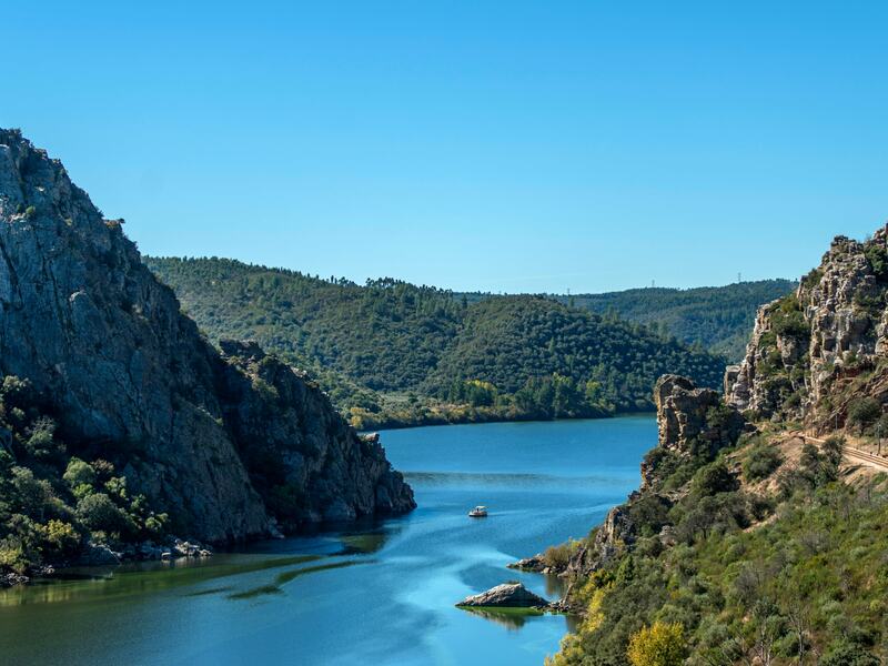 Upcoming Events: A Culinary Journey Across Portugal’s Regions Beiras