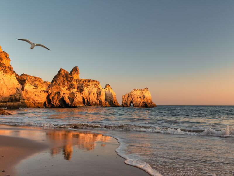 Upcoming Events: A Culinary Journey Across Portugal’s Regions Algarve