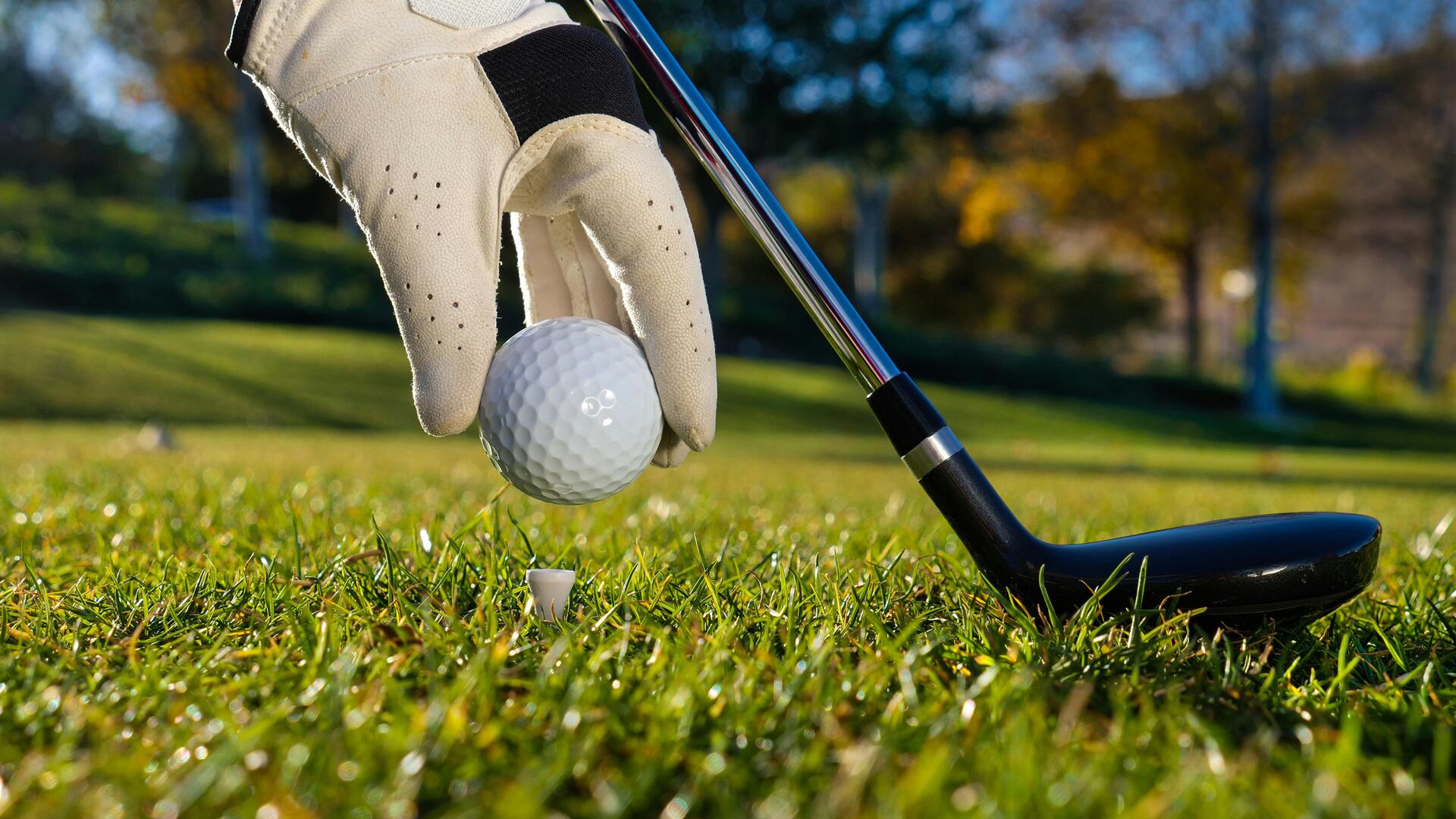 Sports: Golf-