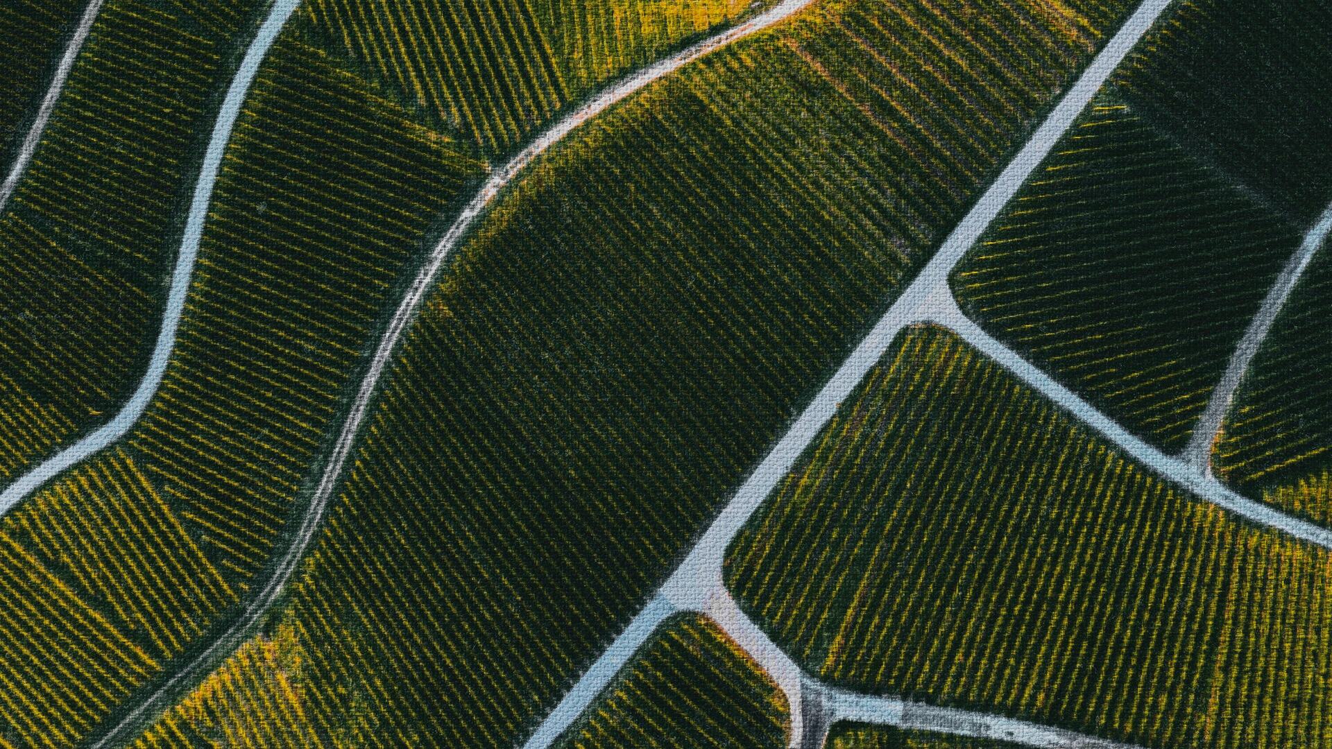 Upcoming Events: Aladin Terroirs