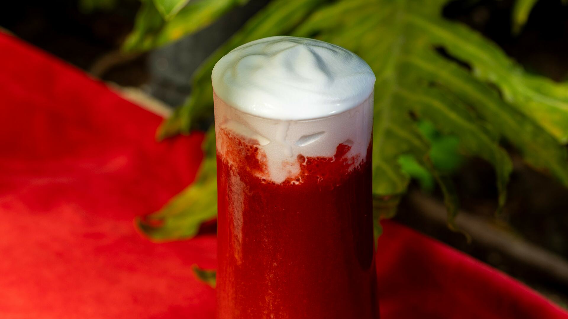 Cafe Bica Winter Brews