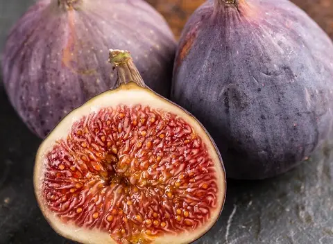 Figs