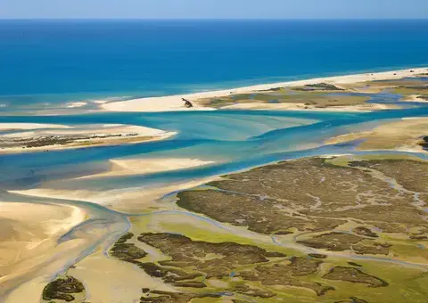 Upcoming events: Ria Formosa.