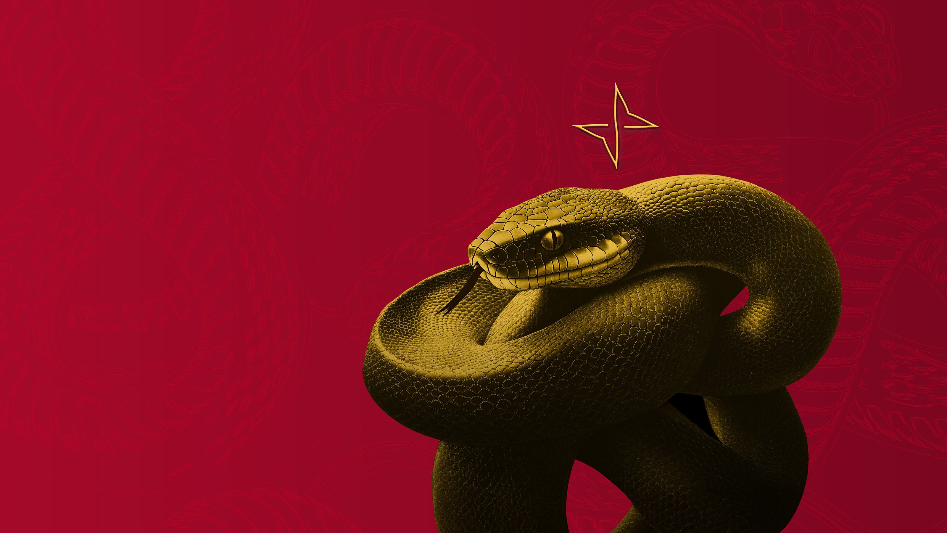 Upcoming events: Year of the Snake