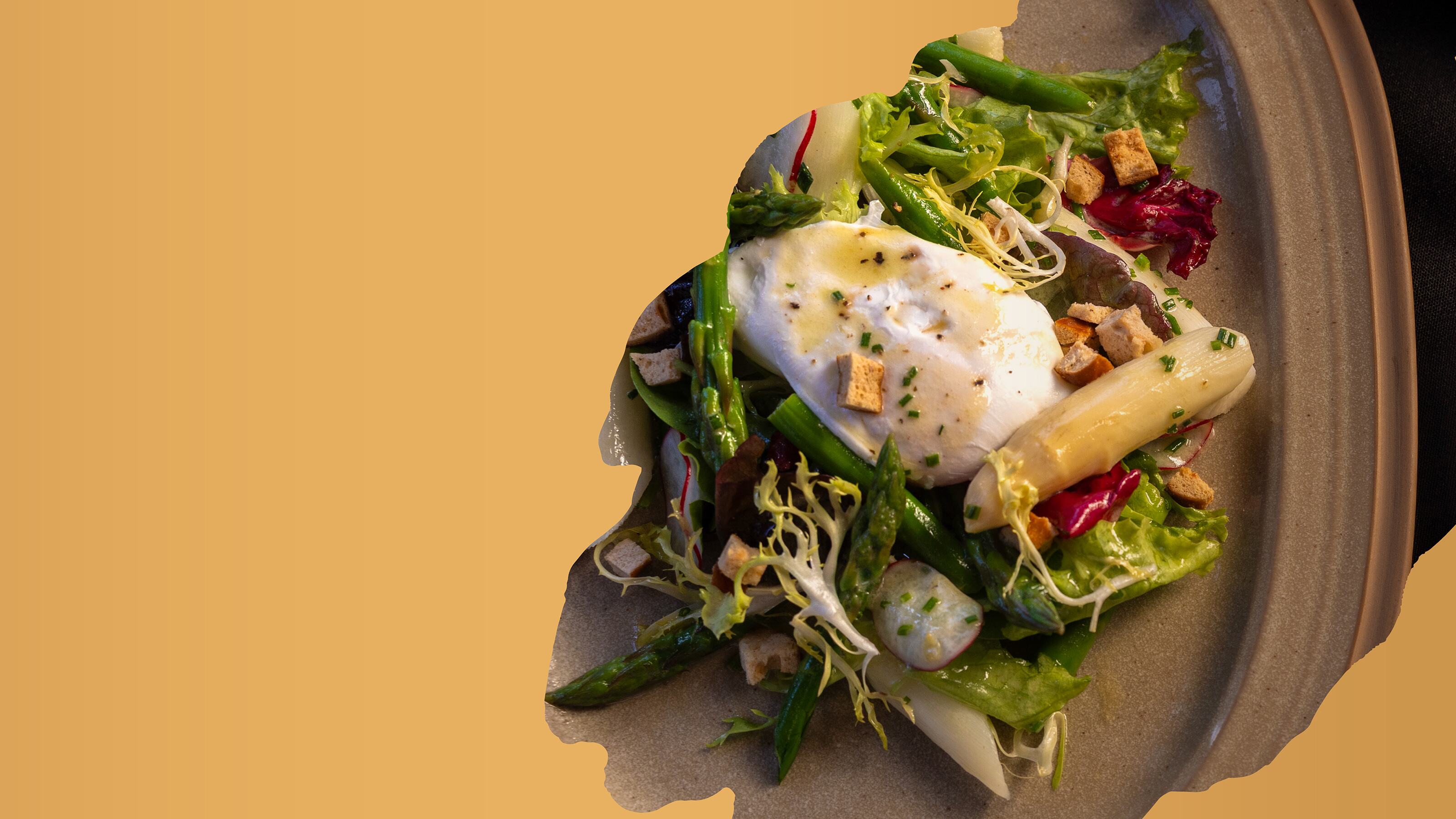 Upcoming events: White Asparagus Season