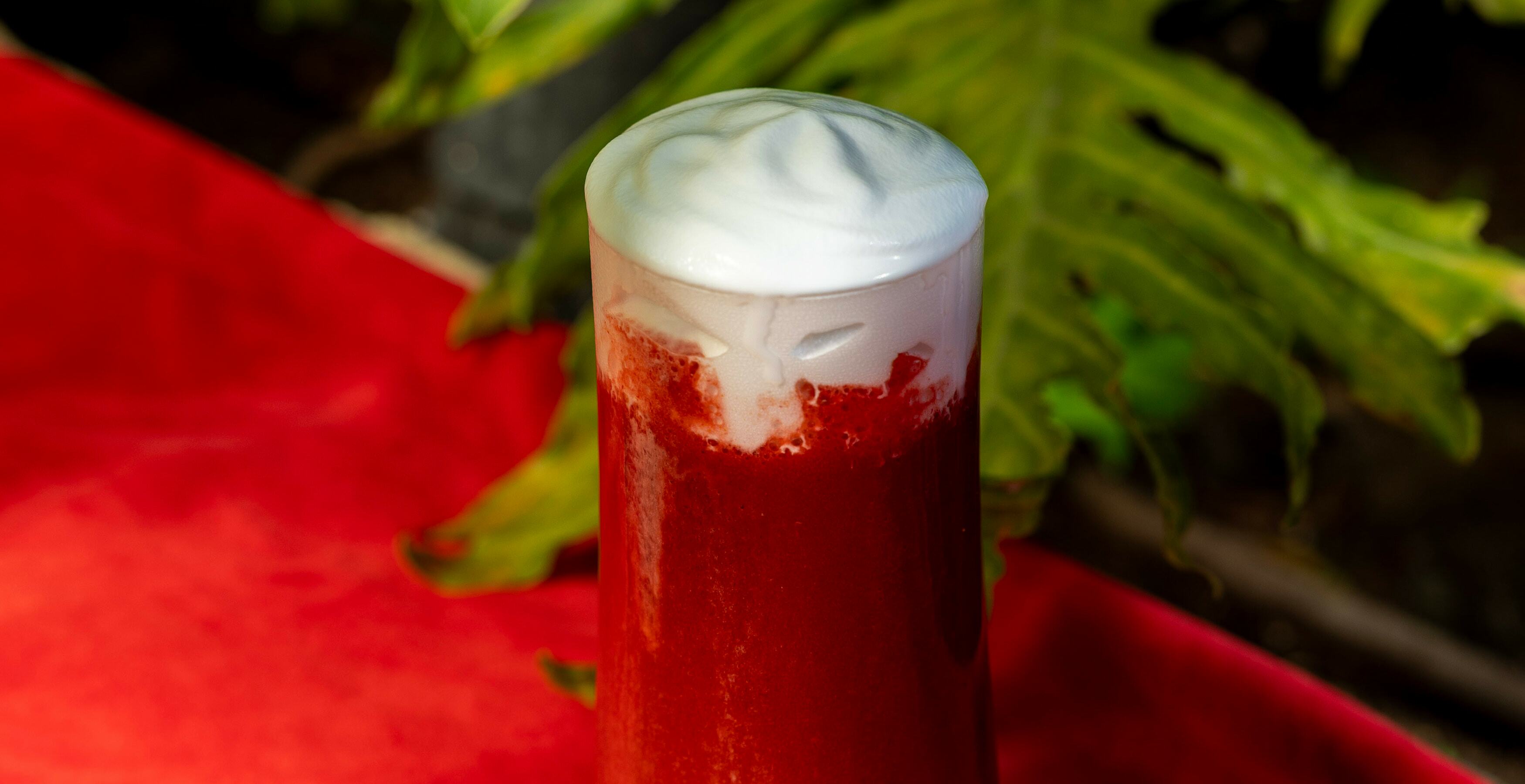 Cafe Bica Winter Brews