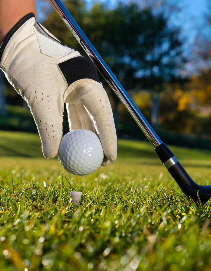 Sports: Golf-