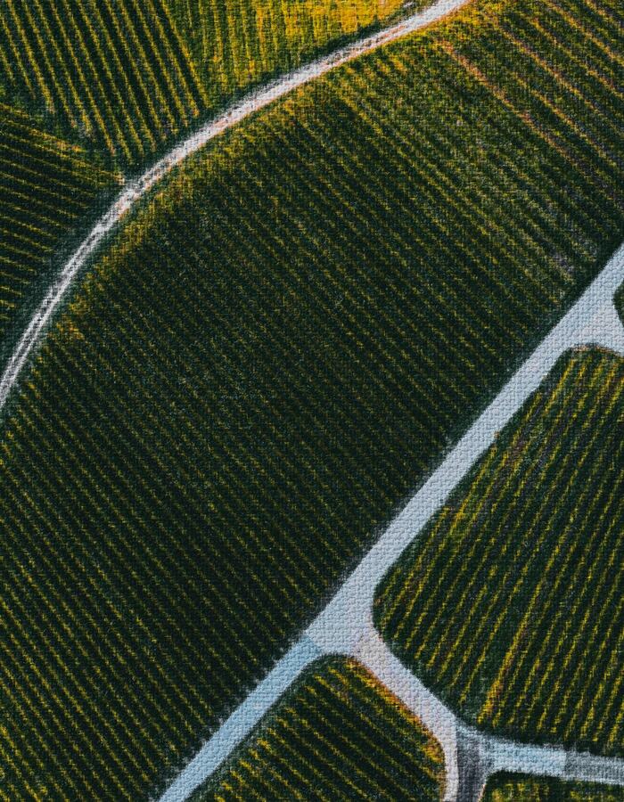 Upcoming Events: Aladin Terroirs